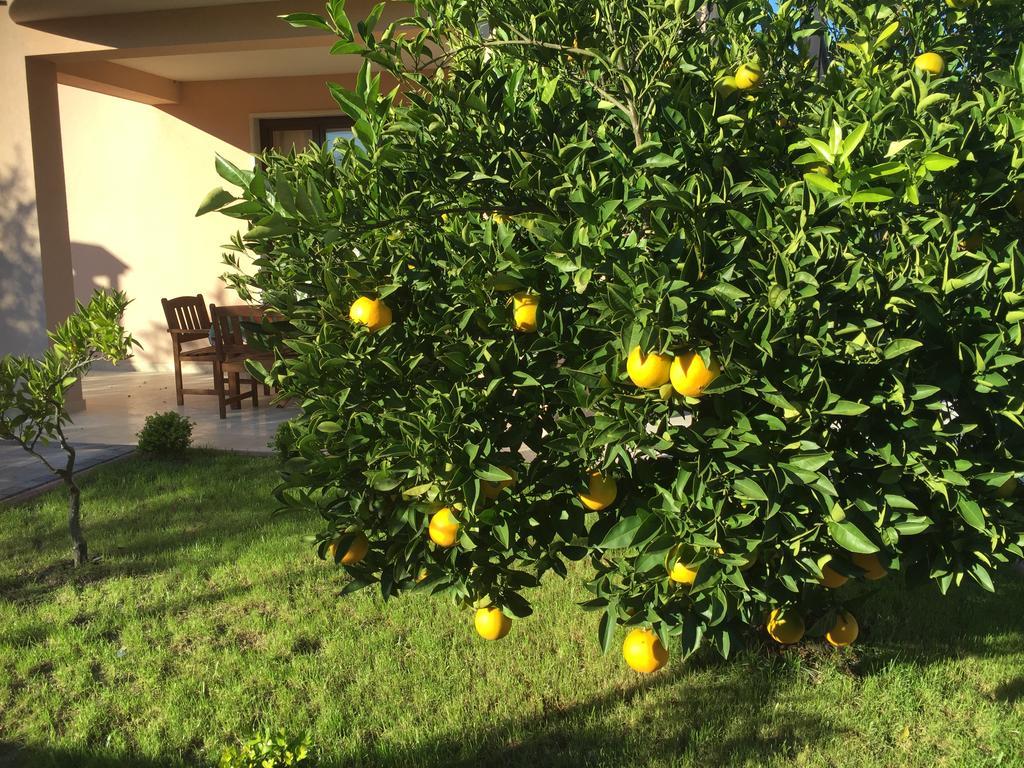 Apartment Villa Baric 4412 Rovigno Esterno foto